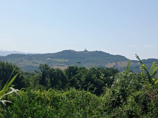 terreno agricolo in vendita a Todi in zona Cecanibbi