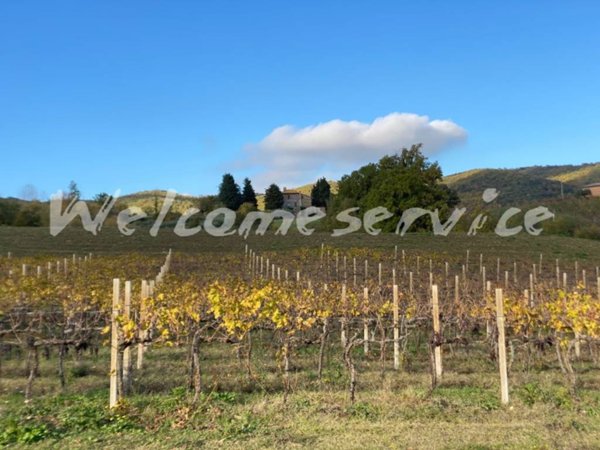 casa indipendente in vendita a Todi