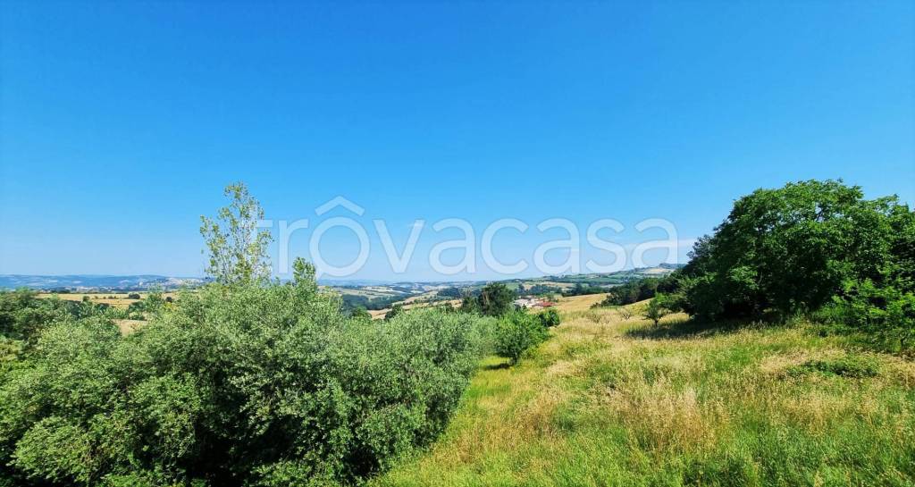 appartamento in vendita a Todi