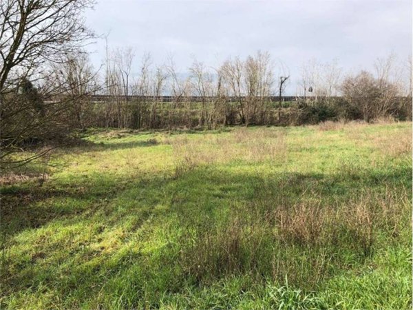 terreno edificabile in vendita a Todi in zona Ponterio