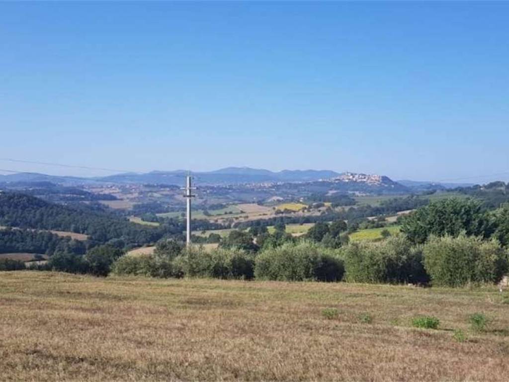 terreno agricolo in vendita a Todi