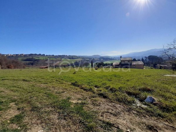 terreno agricolo in vendita a Todi