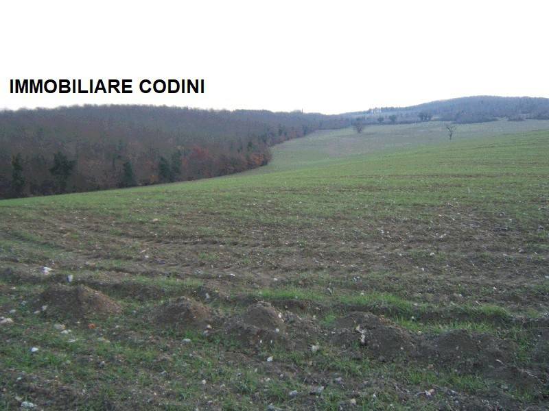 terreno agricolo in vendita a Todi
