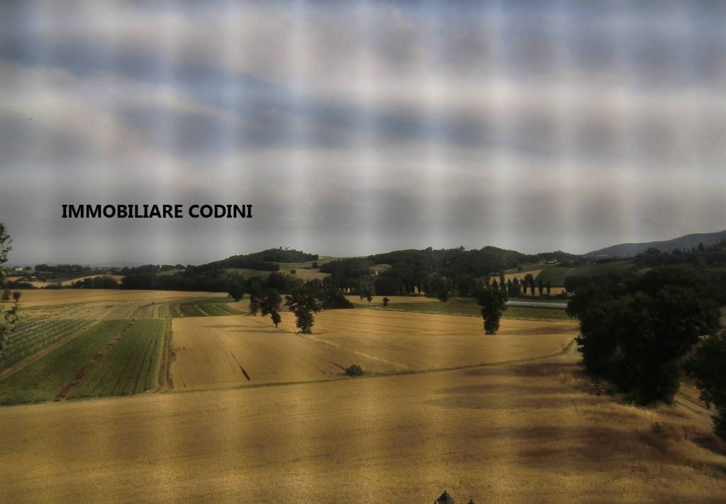 terreno agricolo in vendita a Todi