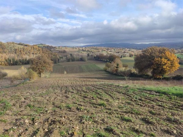 terreno agricolo in vendita a Todi in zona Pian di San Martino
