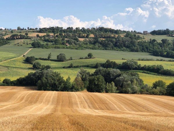 terreno agricolo in vendita a Todi