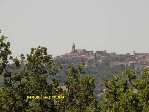 terreno agricolo in vendita a Todi