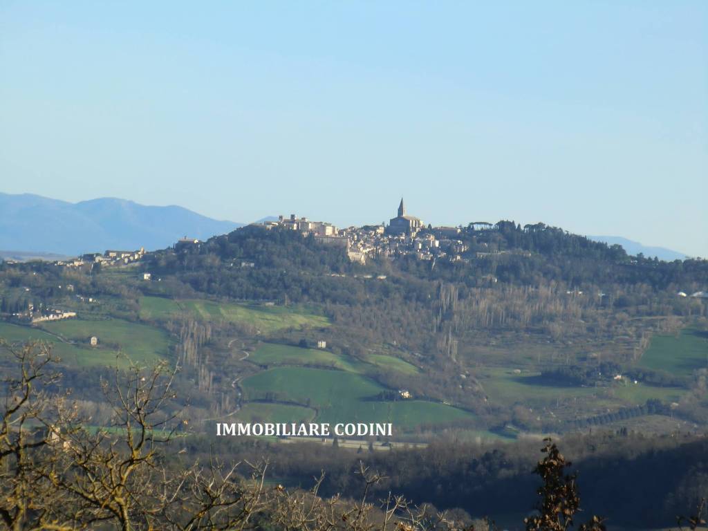 terreno agricolo in vendita a Todi