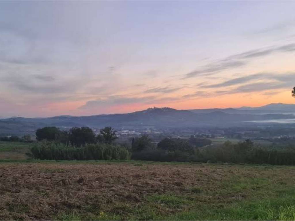 terreno agricolo in vendita a Todi