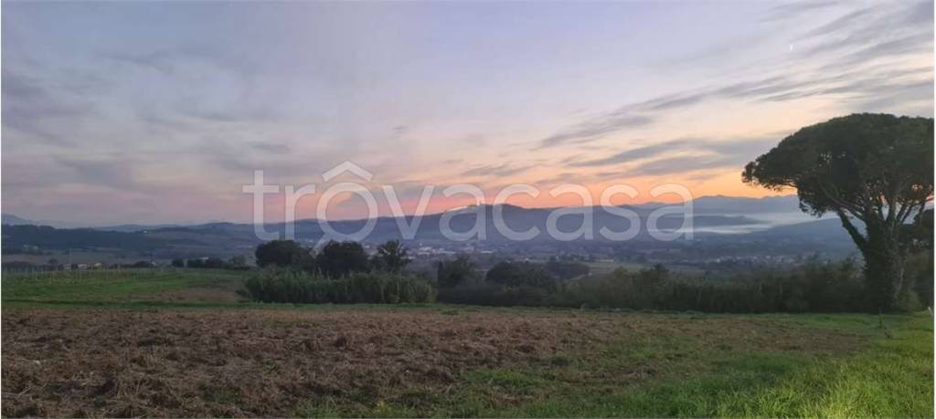 terreno agricolo in vendita a Todi