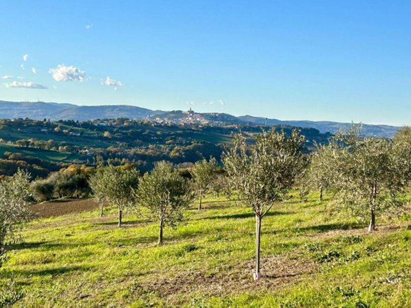 terreno agricolo in vendita a Todi