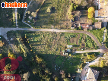 negozio in vendita a Todi in zona Ponterio