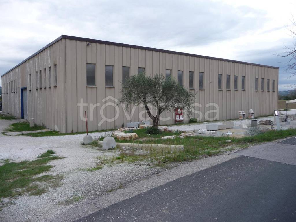 capannone in vendita a Todi in zona Ilci