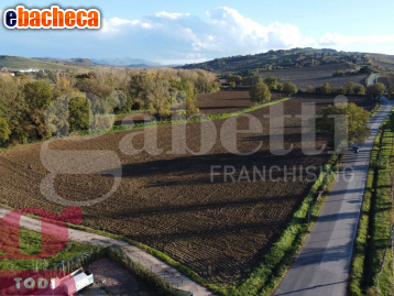 terreno agricolo in vendita a Todi