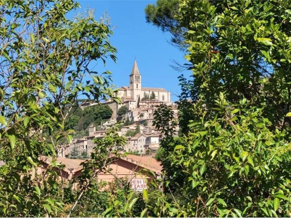 casa indipendente in vendita a Todi