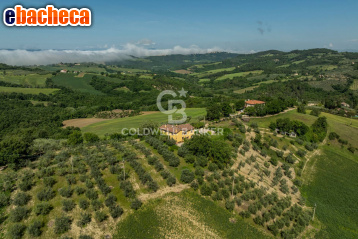 appartamento in vendita a Todi