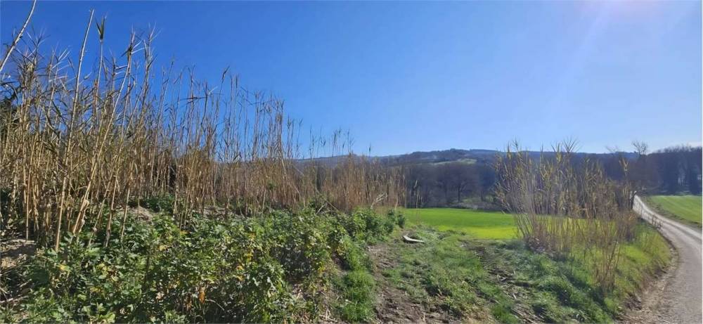 casa indipendente in vendita a Todi in zona Monticello