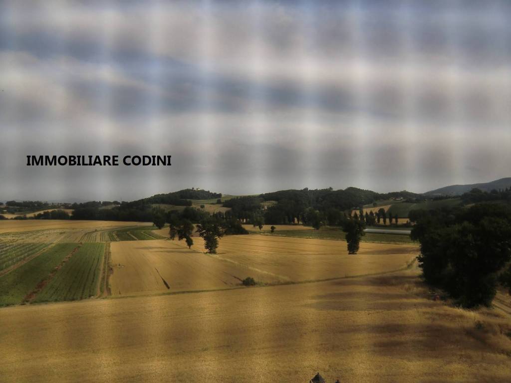 terreno agricolo in vendita a Todi