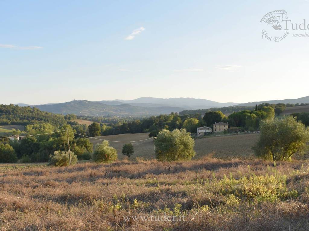 terreno agricolo in vendita a Todi