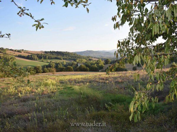 terreno agricolo in vendita a Todi