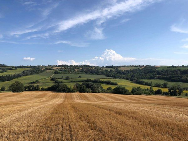 rudere in vendita a Todi