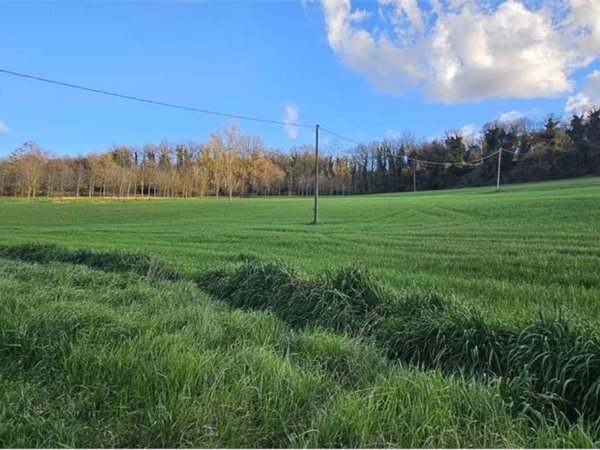 negozio in vendita a Todi