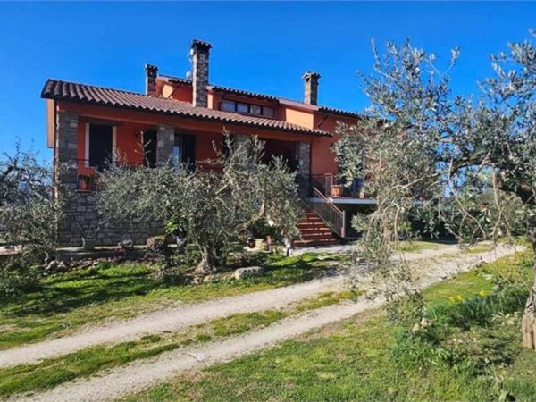 negozio in vendita a Todi