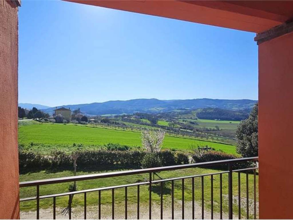 negozio in vendita a Todi
