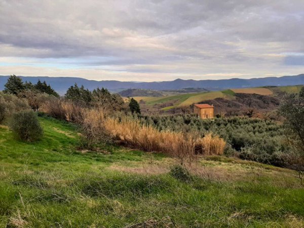 casa indipendente in vendita a Todi in zona Pesciano