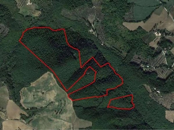 terreno agricolo in vendita a Todi