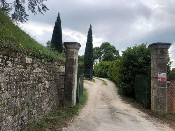 negozio in vendita a Todi