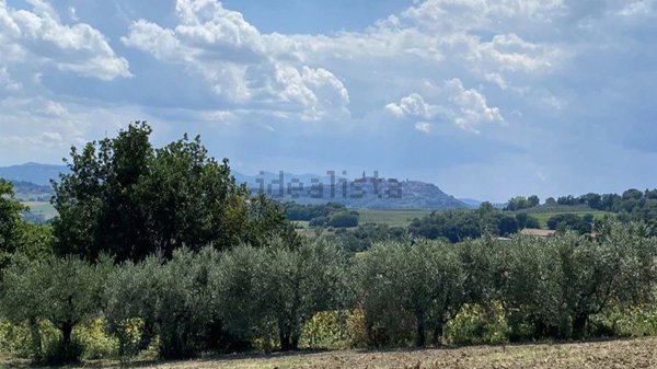 appartamento in vendita a Todi