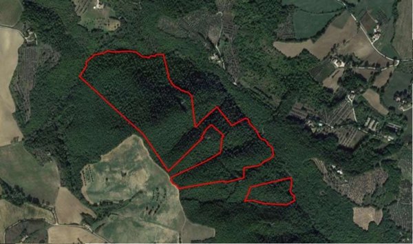 terreno agricolo in vendita a Todi