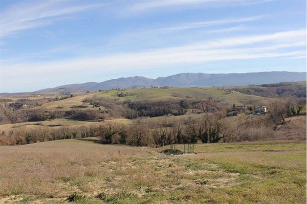 terreno agricolo in vendita a Todi