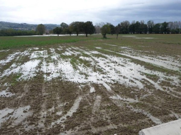 terreno agricolo in vendita a Todi in zona Ilci