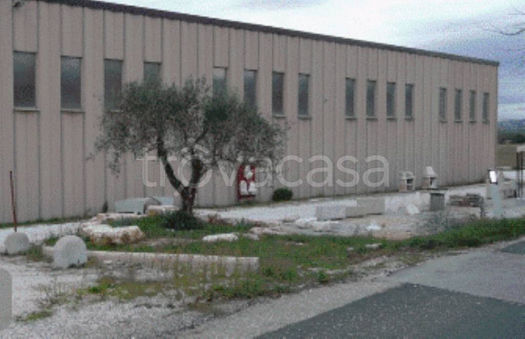 capannone in vendita a Todi in zona Pantalla