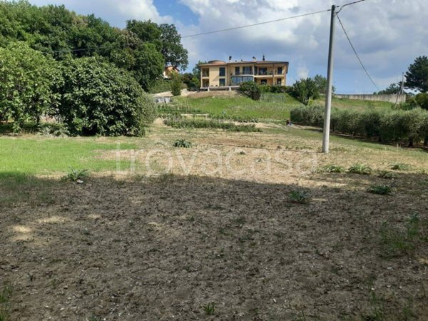 terreno agricolo in vendita a Todi