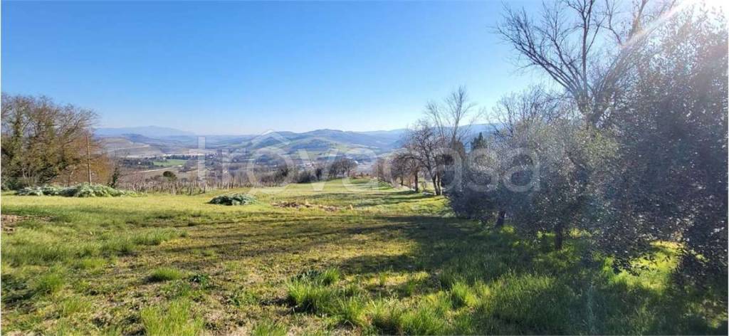 casa indipendente in vendita a Todi