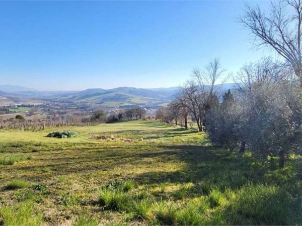 terreno agricolo in vendita a Todi