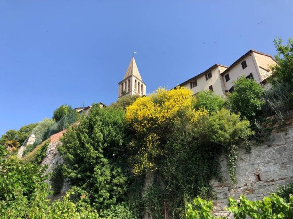 appartamento in vendita a Todi