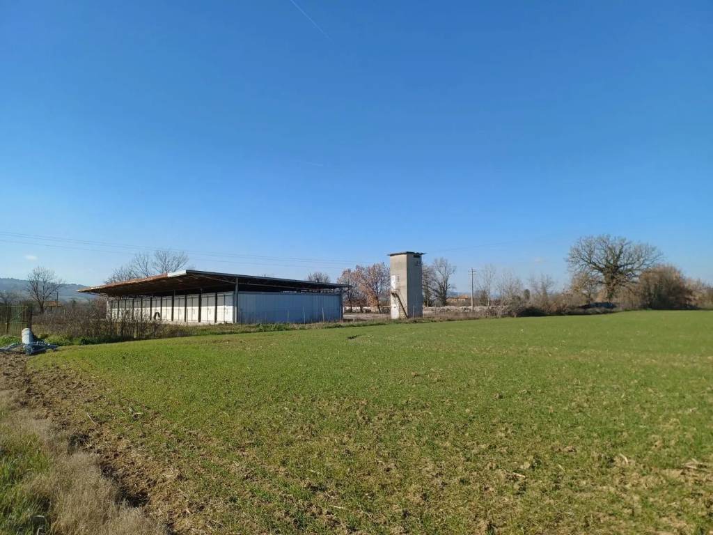 terreno agricolo in vendita a Todi in zona Pantalla
