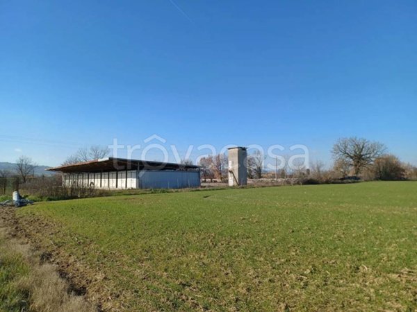 terreno agricolo in vendita a Todi in zona Pantalla