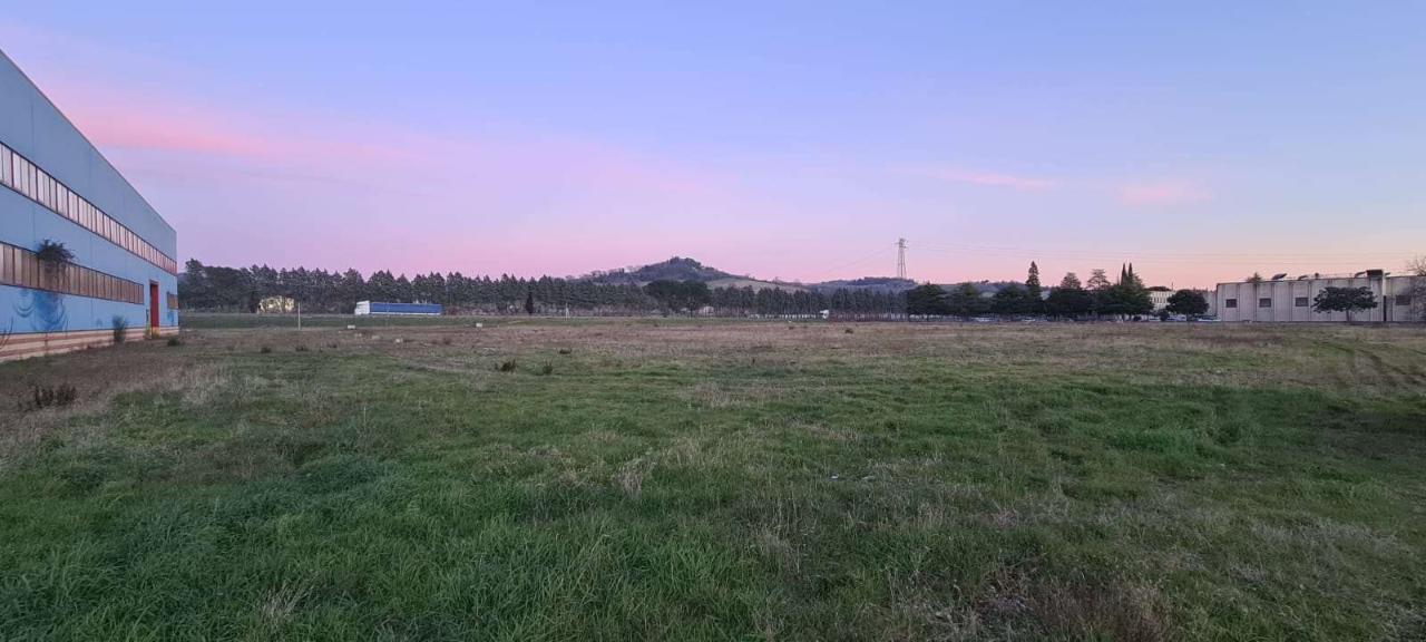 terreno agricolo in vendita a Todi in zona Pantalla