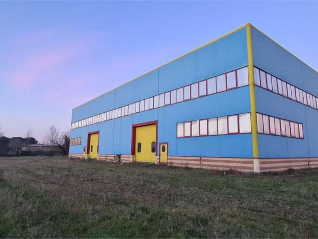 terreno agricolo in vendita a Todi in zona Pantalla