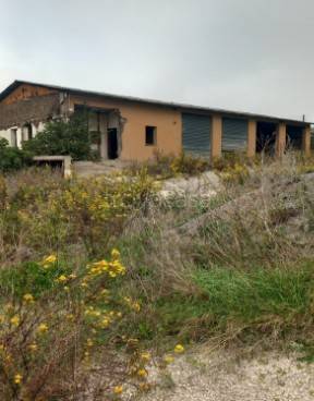 negozio in vendita a Todi