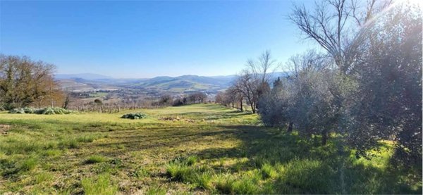 casa indipendente in vendita a Todi
