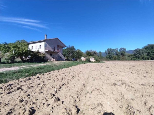 azienda agricola in vendita a Todi