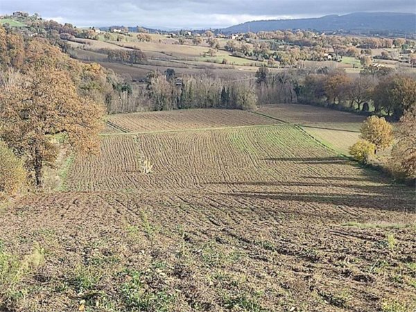 terreno agricolo in vendita a Todi in zona Cecanibbi