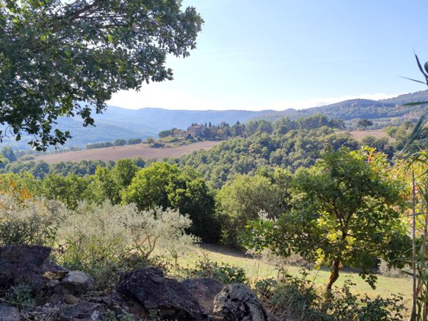 casa indipendente in vendita a Todi in zona Canonica