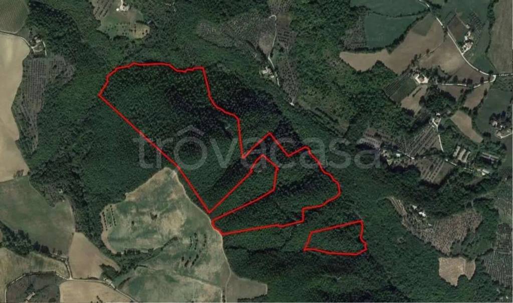 terreno agricolo in vendita a Todi